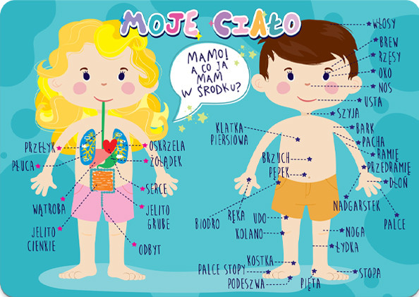 Podkład B3 Ciało Henry